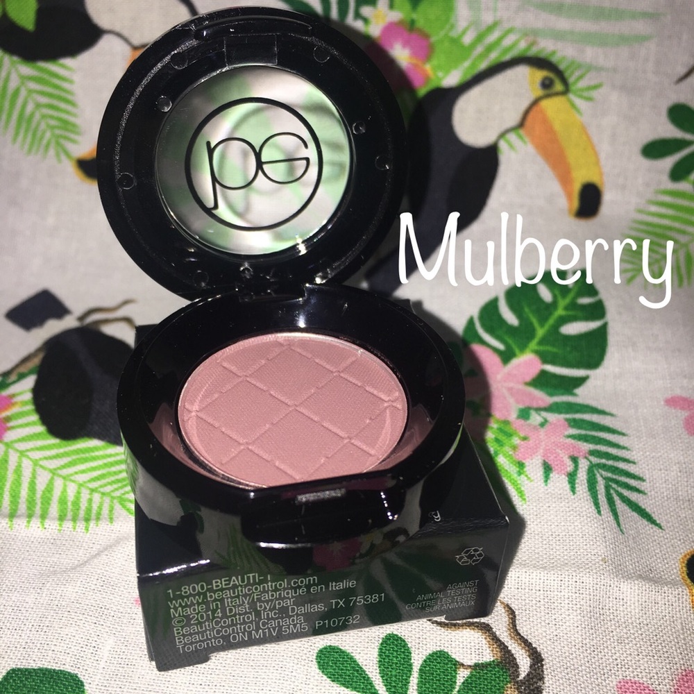 Beauticontrol Color Impact Eyeshadow Mulberry